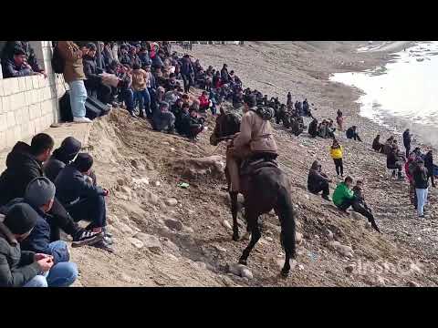 Видео: бузкашаки ноҳияи Нуробод 11 02 2024