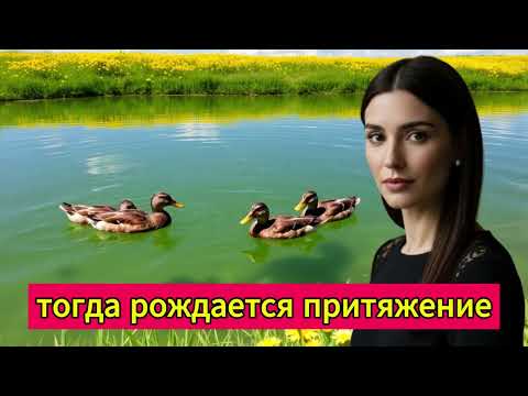 Видео: Искусство завоевать сердце любой женщины (даже если она не проявляет интереса)