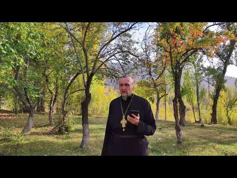 Видео: Миро и елей - что это, и в чем разница?