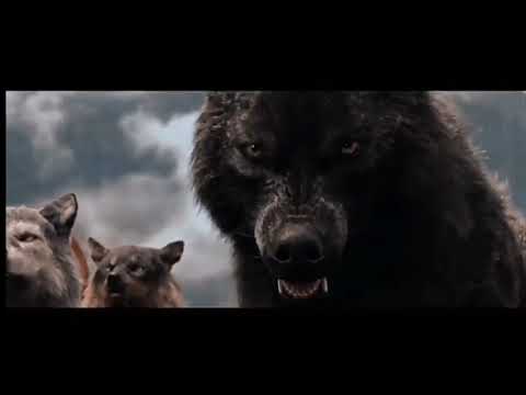 Видео: Till I Collapse (на русском)