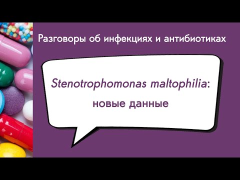 Видео: Stenotrophomonas maltophilia: новые данные