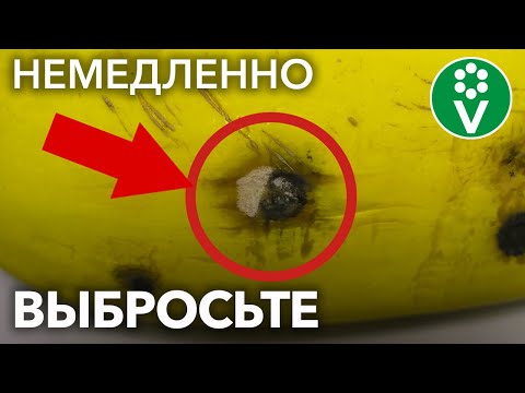 Видео: Если увидите ТАКУЮ ПЛЕСЕНЬ на овощах и фруктах, немедленно выбросите их!