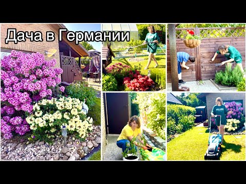 Видео: Дачный влог / Накопилась работа / Приводим всё в порядок