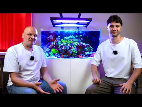Видео: Морской Аквариум. С Чего Начать? Советы Начинающим