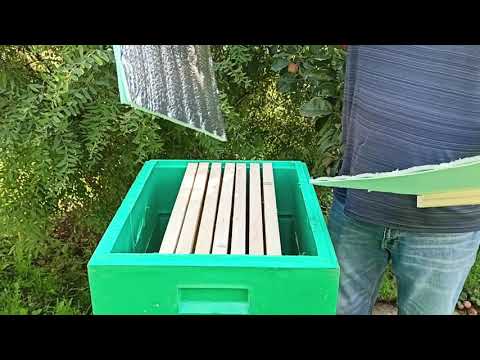Видео: Зимовка в ульях ППУ