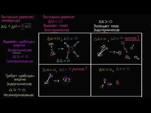 Видео: Экзотермические и эндотермические реакции (видео 9) | Энергия| Биология
