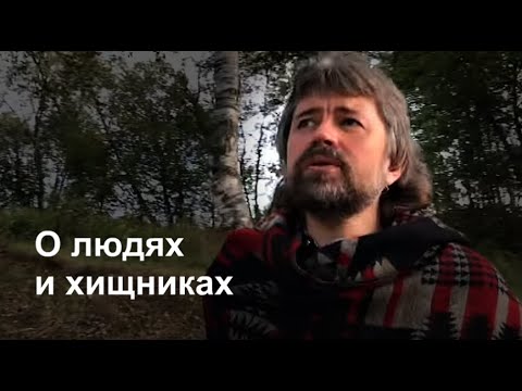 Видео: О людях и хищниках (а на самом деле о здоровых и токсичных, потребительских отношениях)