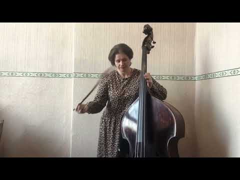 Видео: Контрабас от А до Я. Урок 15. Плоскость струны. Играем на струнах "ре" и "ля".