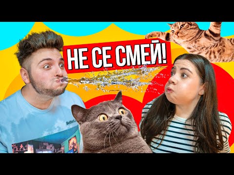 Видео: НЕ СЕ СМЕЙ TIKTOK CHALLENGE