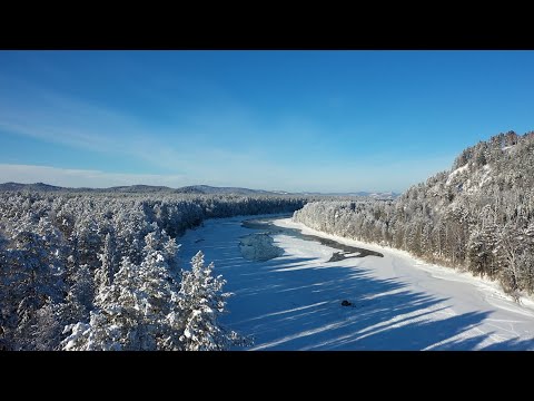 Видео: Рыбалка в -35 на Алтае/Подводная съемка на реке БИЯ/Готовимся к ночевке на льду в лютый мороз/#1