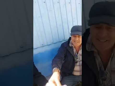 Видео: Люди вокруг народной дороги Бузнасан нух 30 сентября 2024 года.