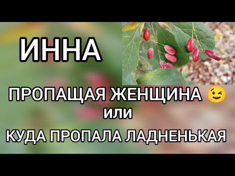 Видео: Поговорим⁉️Инна Судакова / Inna Sudakova  Пропащая женщина⁉️ Или куда пропала Ладненькая‼️