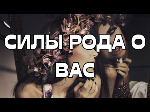 Видео: 🌳СИЛЫ РОДА О ВАС👀💥ПОЛЕЗНО УСЛЫШАТЬ 🤔🎯