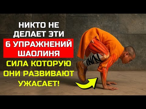Видео: 6 мощных упражнений от монахов Шаолиня для нечеловеческой силы и выносливости