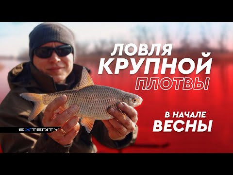Видео: Ловля крупной плотвы в начале весны. Река Орель.