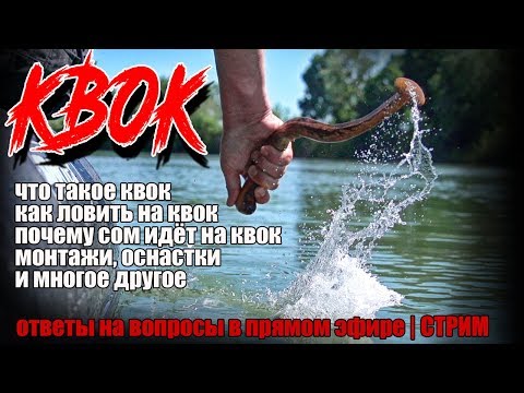 Видео: Ловля сома на квок | ответы на ваши вопросы