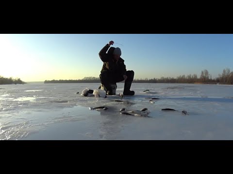 Видео: Плотва в городе по последниму льду. Залив Днепра " ВЕРБЛЮД"