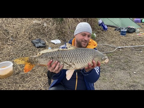 Видео: Днестр,Глубокий Турунчук,Трофейный сазан в ноябре#днестр#сазан#рыбалка#лещ#рекомендации