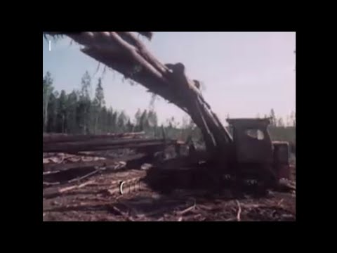 Видео: Воспроизводство и использование лесных ресурсов.