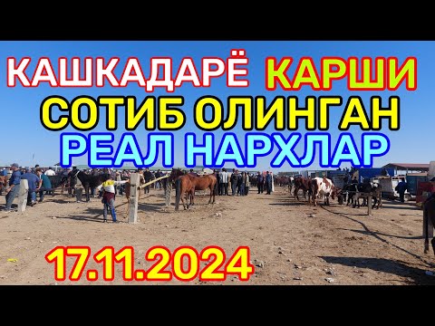 Видео: 17.11.2024 СОТИБ ОЛИНГАН РЕАЛ НАРХЛАР КАРШИ КАРВОН МОЛ БОЗОРИДАН