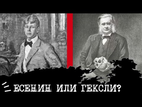 Видео: Есенин (ИЭИ) или Гексли (ИЭЭ)⚖️