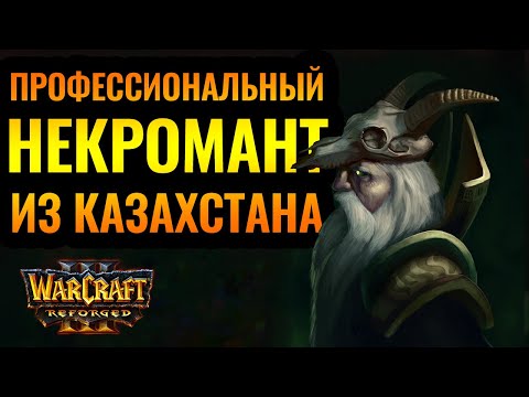 Видео: Некроманты слишком сильны? Два героя эльфов 6-го уровня [Warcraft 3 Reforged]