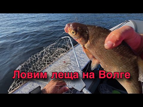Видео: ЛОВИМ ЛЕЩА НА ВОЛГЕ НА УЛОВИСТУЮ СНАСТЬ КОЛЬЦО.