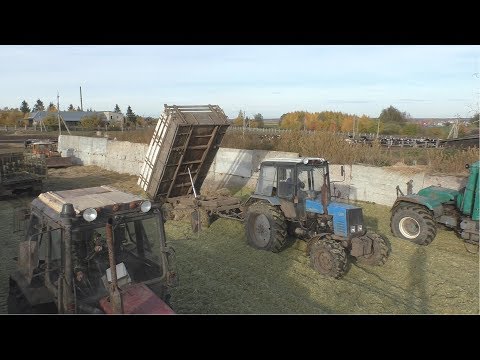 Видео: Заготовка силоса Работа в силосной яме