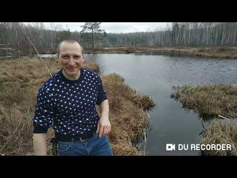 Видео: Зарыбление лесного водоёма 2020  Растим рыбу-монстра🤯