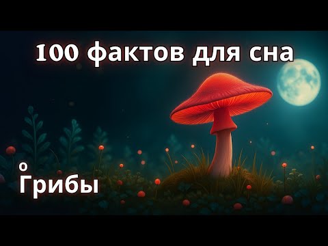 Видео: Самые успокаивающие факты о грибах для сна