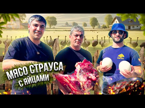 Видео: Мясо страуса приготовленное в казане на природе