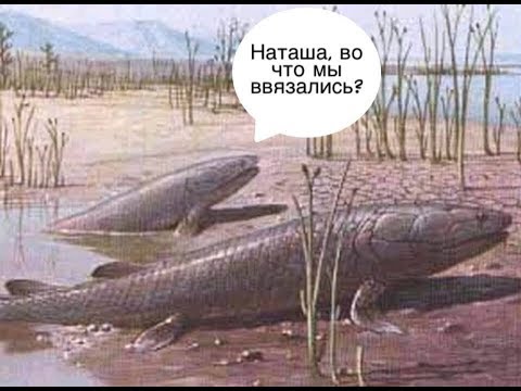 Видео: Советы Боухантерам по экипировке для Зимней Охоты с Луком