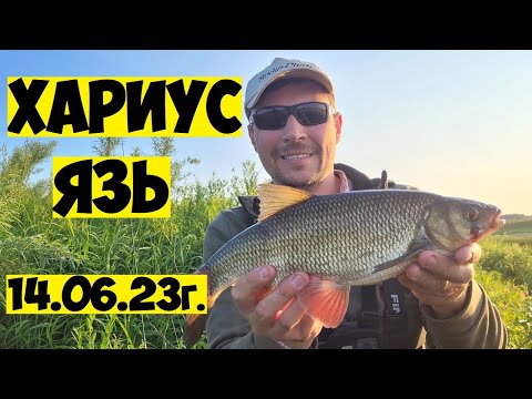 Видео: Рыбалка на ХАРИУСА и ЯЗЯ! ЛУЧШИЕ приманки на хариуса! ЯЗЬ на воблер! Рыбалка на спиннинг!