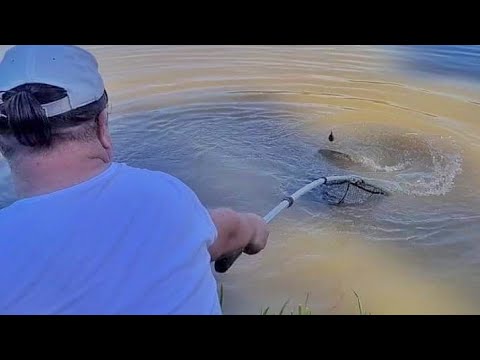 Видео: Соревки.