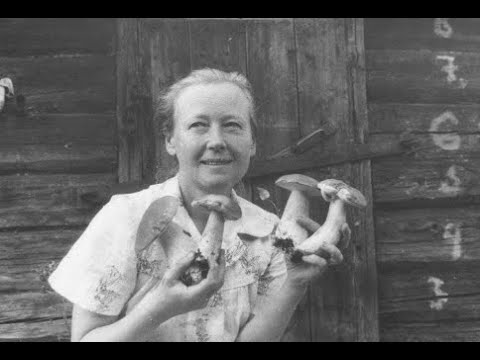 Видео: Редкие фотографии советских актеров  Часть 71
