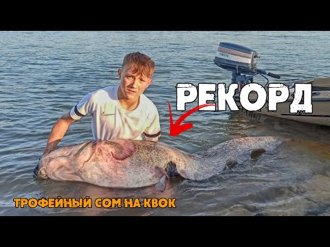 Видео: Трофейный СОМ на КВОК | Рекордный сом Влада