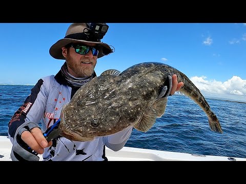 Видео: Как поймать КРУПНУЮ плоскоголовую рыбу | Советы и рекомендации