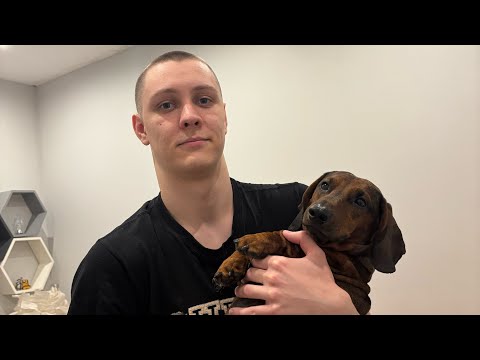 Видео: Тяжёлый 5 день в Риге. Не сняли квартиру. Снова на чемоданах. Нас приютили. Шопинг 