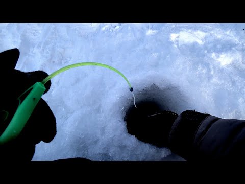 Видео: ВОТ ЗА ТАКИМИ ЛОПАТАМИ И ГОРБАЧАМИ МЫ СЮДА И ЕХАЛИ!!Рыбалка 2021 на Комбайны ,балансир и безмотылку.