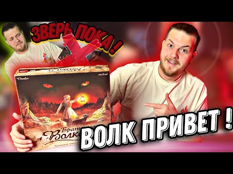 Видео: Братство Волка - Лучшая Один Против Всех для новичков.Настольная Игра