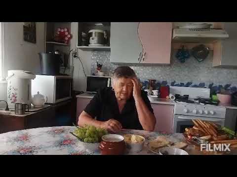 Видео: Костанайская область Денисовский район посёлок Георгиевка