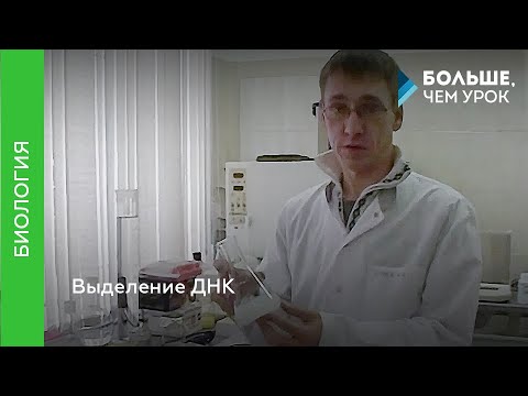 Видео: Выделение ДНК