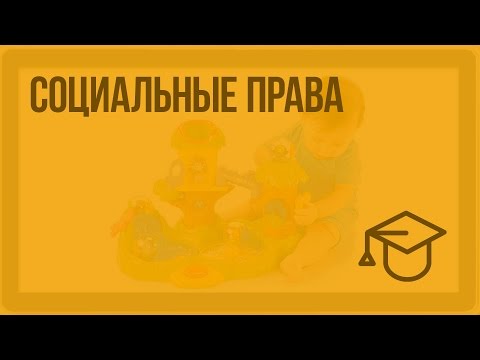 Видео: Социальные права. Видеоурок по обществознанию 9 класс
