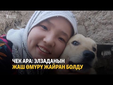 Видео: Чек ара: Элзаданын жаш өмүрү жайран болду