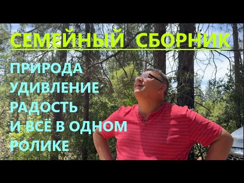Видео: В ЭТОМ РОЛИКЕ МНОГО ИНТЕРЕСНОГО!  ОСТАВАЙТЕСЬ С НАМИ ДО КОНЦА!!!