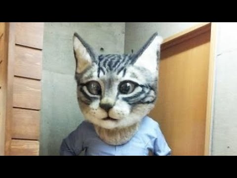 Видео:  Развиваюсь в играх день 2.