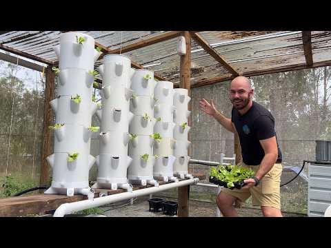 Видео: Многобашенная модульная гидропонная система