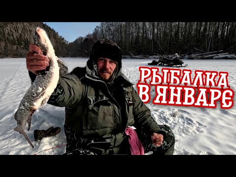 Видео: Зимняя Горная рыбалка в тайге-Ловля Ленка и Хариуса зимой.