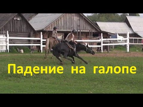 Видео: Падение с лошадью на галопе. Спасает баланс!