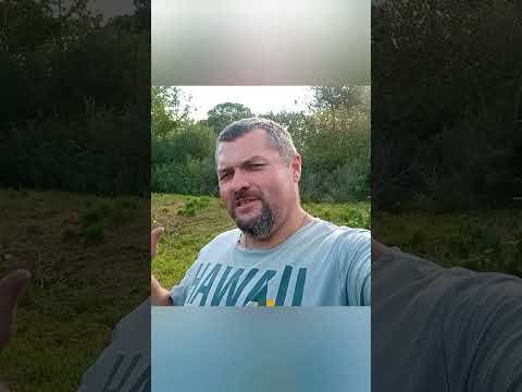 Видео: Восстановил Газ 31105